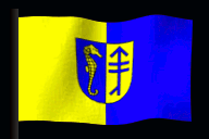 hiddenflag